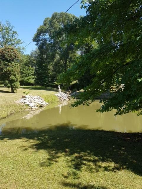 Le Jardin D Eau Hotell Lamothe-Montravel Exteriör bild