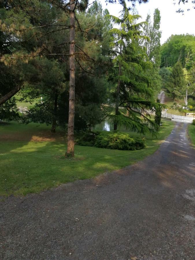 Le Jardin D Eau Hotell Lamothe-Montravel Exteriör bild